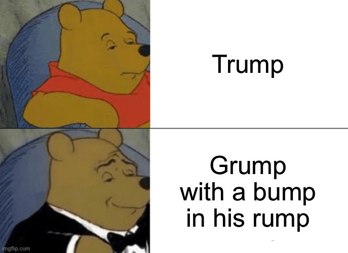 Tuxedo Winnie The Pooh Meme | Trump; Grump with a bump in his rump | image tagged in memes,tuxedo winnie the pooh | made w/ Imgflip meme maker