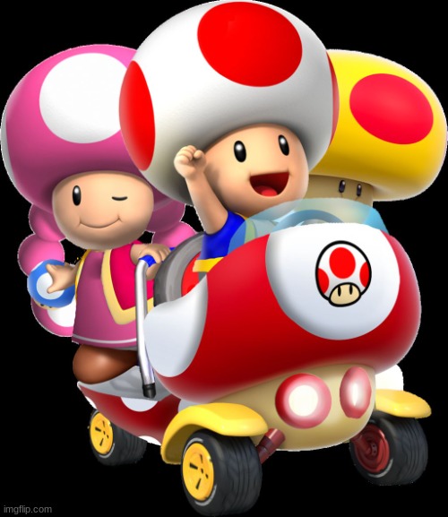 Toad and toadette | image tagged in toad and toadette | made w/ Imgflip meme maker