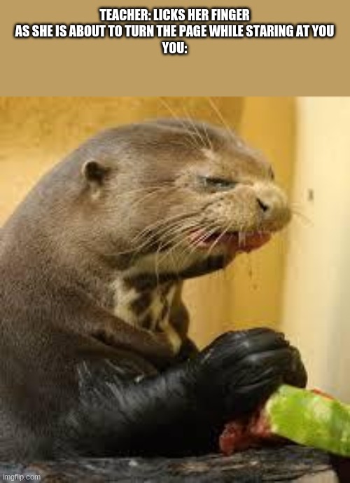 bruh why do yall teacher lick your fingers then turn the page ewww | TEACHER: LICKS HER FINGER AS SHE IS ABOUT TO TURN THE PAGE WHILE STARING AT YOU
YOU: | image tagged in disgusted otter | made w/ Imgflip meme maker