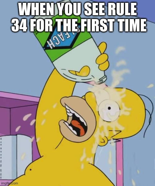 Homer with bleach | WHEN YOU SEE RULE  34 FOR THE FIRST TIME | image tagged in homer with bleach | made w/ Imgflip meme maker