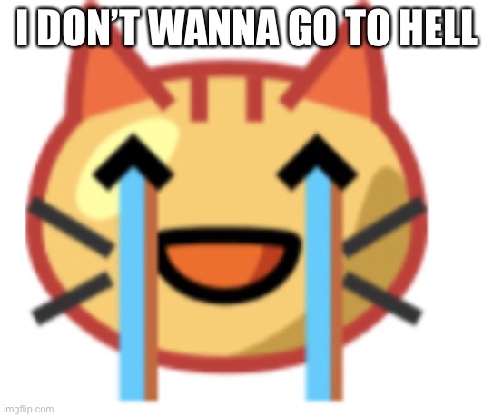 Crying cat | I DON’T WANNA GO TO HELL | image tagged in funny memes | made w/ Imgflip meme maker