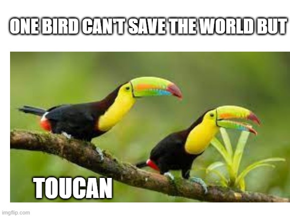 ONE BIRD CAN'T SAVE THE WORLD BUT; TOUCAN | image tagged in memes,meme | made w/ Imgflip meme maker