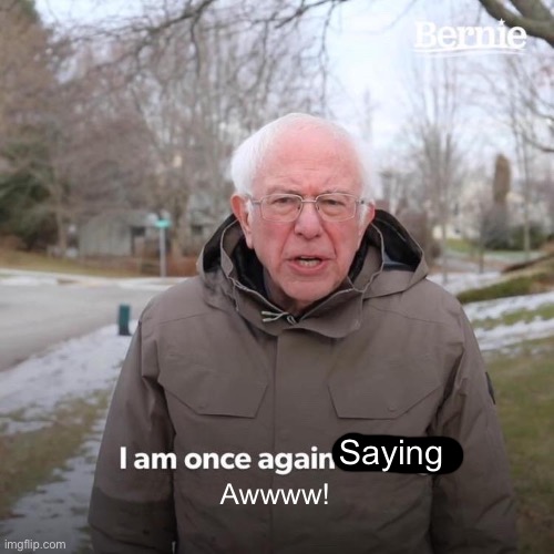 Saying Awwww! | image tagged in memes,bernie i am once again asking for your support | made w/ Imgflip meme maker
