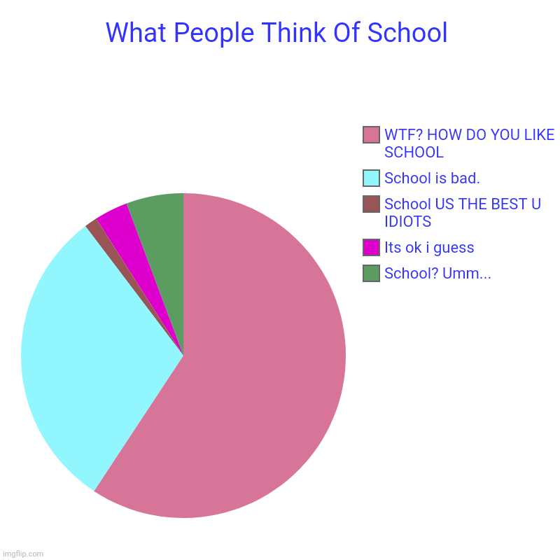 School Ratings | What People Think Of School | School? Umm..., Its ok i guess, School US THE BEST U IDIOTS, School is bad., WTF? HOW DO YOU LIKE SCHOOL | image tagged in charts,pie charts | made w/ Imgflip chart maker