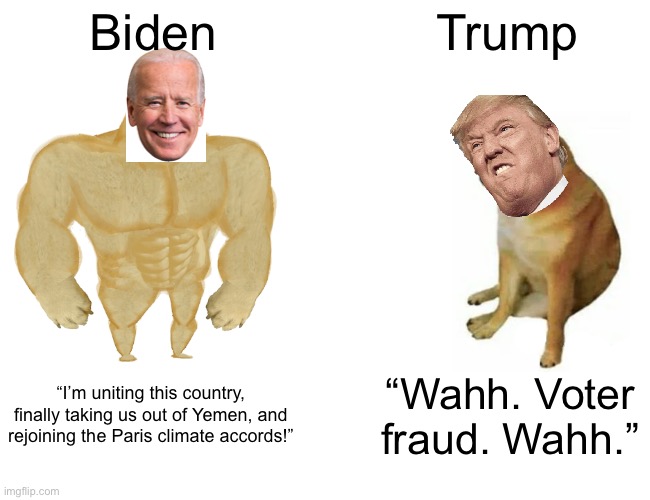 Buff Doge vs. Cheems | Biden; Trump; “I’m uniting this country, finally taking us out of Yemen, and rejoining the Paris climate accords!”; “Wahh. Voter fraud. Wahh.” | image tagged in memes,buff doge vs cheems | made w/ Imgflip meme maker