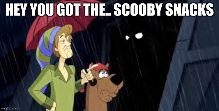 HEY YOU GOT THE.. SCOOBY SNACKS | image tagged in scooby doo | made w/ Imgflip meme maker