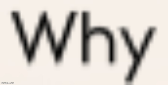 Why | image tagged in why | made w/ Imgflip meme maker