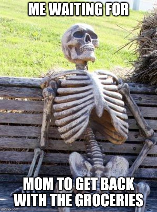 I Hate This | ME WAITING FOR; MOM TO GET BACK WITH THE GROCERIES | image tagged in memes,waiting skeleton | made w/ Imgflip meme maker