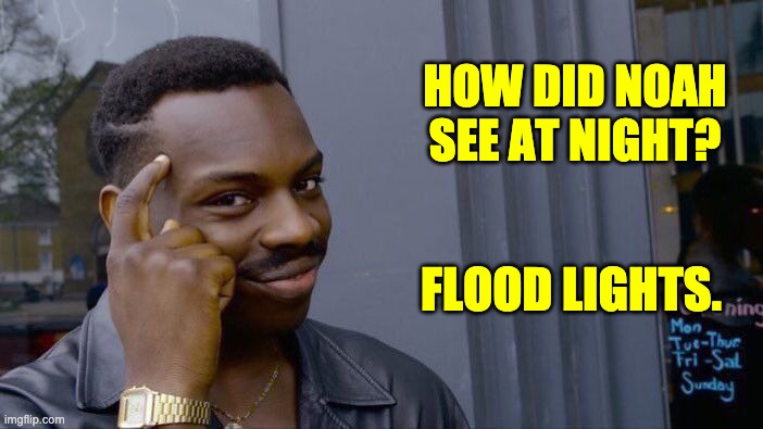Noah | HOW DID NOAH SEE AT NIGHT? FLOOD LIGHTS. | image tagged in memes,roll safe think about it | made w/ Imgflip meme maker