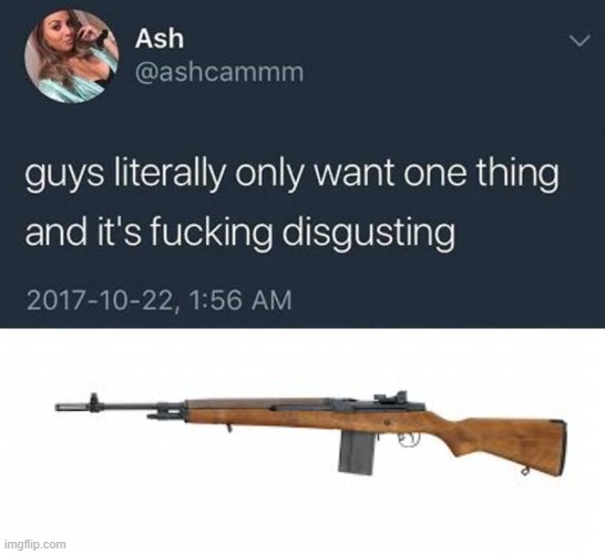 basically | image tagged in guys only want one thing | made w/ Imgflip meme maker