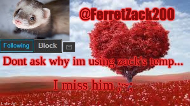 Besides that... How are you species? I say species because some people here claim to not be human :D | Dont ask why im using zack's temp... I miss him ;~; | image tagged in ferretzack200 template | made w/ Imgflip meme maker