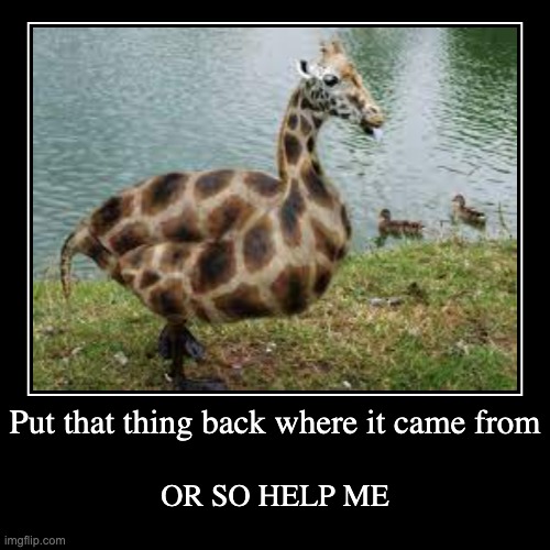 why do you exist | image tagged in funny,demotivationals,help,duck,giraffe,why | made w/ Imgflip demotivational maker