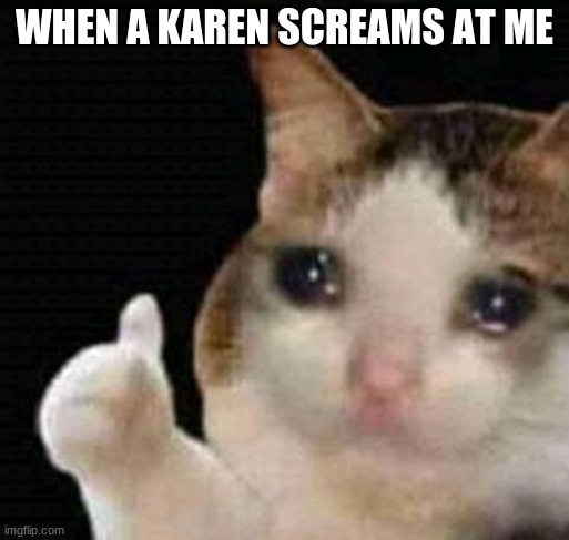 Karens am I right | WHEN A KAREN SCREAMS AT ME | image tagged in sad thumbs up cat | made w/ Imgflip meme maker