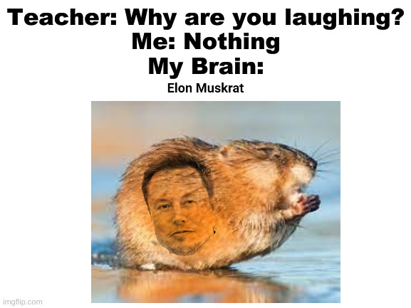 BEHOLD!! | Teacher: Why are you laughing?
Me: Nothing
My Brain: | image tagged in why are you laughing,me when,you can't handle the truth,nooo haha go brrr,haha brrrrrrr | made w/ Imgflip meme maker