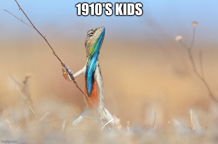 Lizard | 1910'S KIDS | image tagged in lizard | made w/ Imgflip meme maker