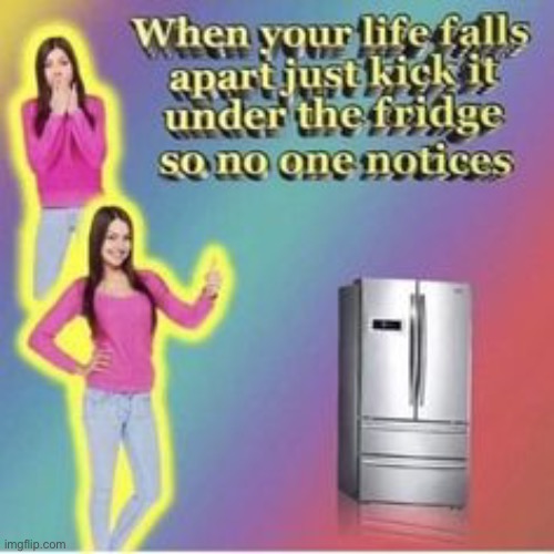*sweeps my life under the fridge* | made w/ Imgflip meme maker