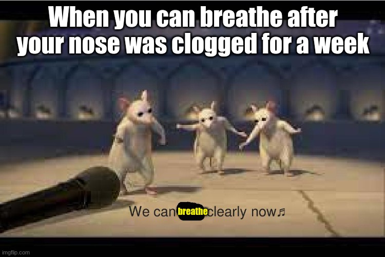 TRUEEEE LOL | When you can breathe after your nose was clogged for a week; breathe | image tagged in three blind mice,i can breathe,random meme,e,mickey mackey boo baa boo,yeet | made w/ Imgflip meme maker