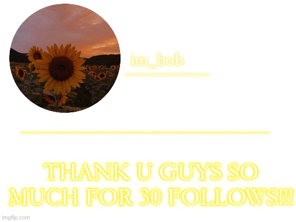 im_bob | THANK U GUYS SO MUCH FOR 30 FOLLOWS!!! | image tagged in im_bob | made w/ Imgflip meme maker