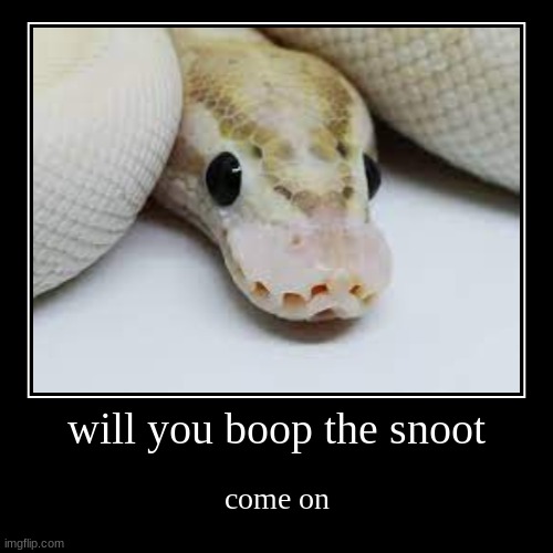 boop it | image tagged in funny,demotivationals | made w/ Imgflip demotivational maker