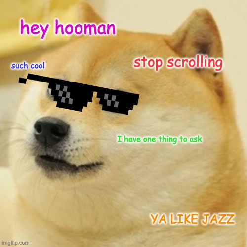Dogecool | hey hooman; stop scrolling; such cool; I have one thing to ask; YA LIKE JAZZ | image tagged in memes,doge | made w/ Imgflip meme maker