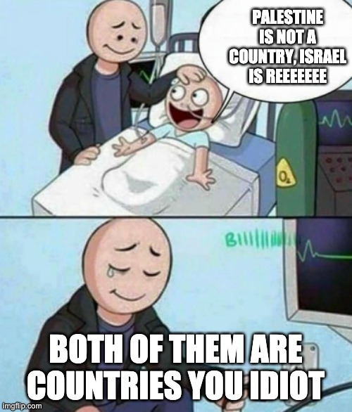 Father Unplugs Life support | PALESTINE IS NOT A COUNTRY, ISRAEL IS REEEEEEE BOTH OF THEM ARE COUNTRIES YOU IDIOT | image tagged in father unplugs life support | made w/ Imgflip meme maker