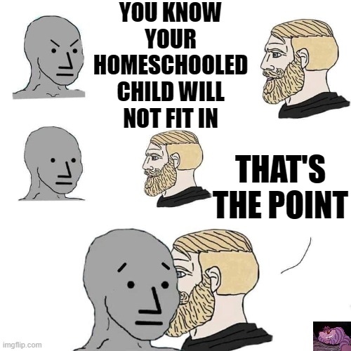 Children should be taught how to think, not what to think | YOU KNOW YOUR HOMESCHOOLED CHILD WILL NOT FIT IN; THAT'S THE POINT | image tagged in the npc fears the alpha man | made w/ Imgflip meme maker