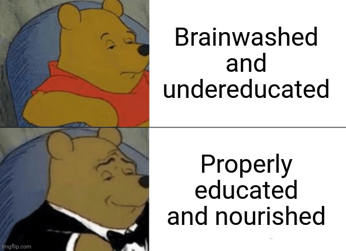 Education | Brainwashed and undereducated; Properly educated and nourished | image tagged in memes,tuxedo winnie the pooh | made w/ Imgflip meme maker