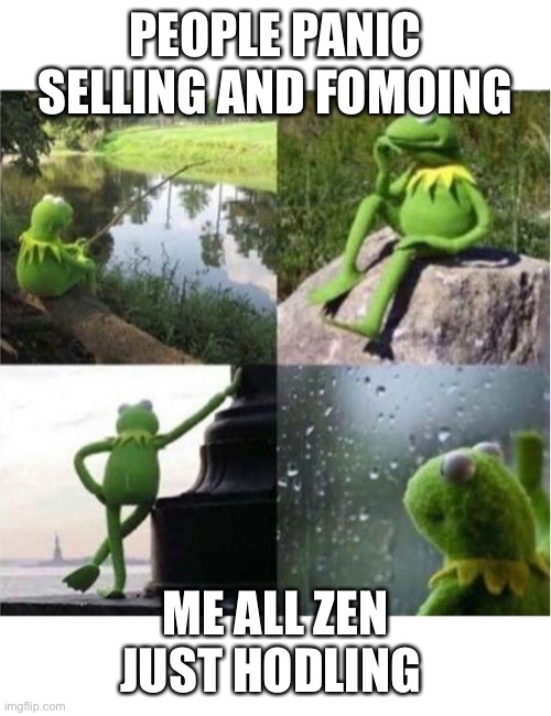 Zen Hodling |  PEOPLE PANIC SELLING AND FOMOING; ME ALL ZEN JUST HODLING | image tagged in blank kermit waiting | made w/ Imgflip meme maker