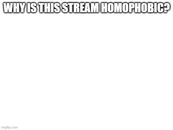 Question |  WHY IS THIS STREAM HOMOPHOBIC? | image tagged in blank white template | made w/ Imgflip meme maker