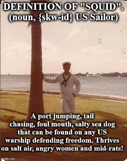 squid | DEFINITION OF "SQUID". (noun, {skw-id} US Sailor); A port jumping, tail chasing, foul mouth, salty sea dog that can be found on any US warship defending freedom. Thrives on salt air, angry women and mid-rats! | image tagged in squid | made w/ Imgflip meme maker