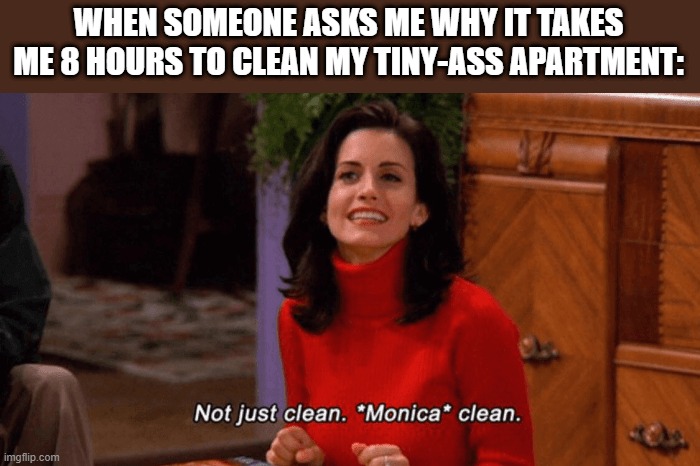 Clean Freak |  WHEN SOMEONE ASKS ME WHY IT TAKES ME 8 HOURS TO CLEAN MY TINY-ASS APARTMENT: | image tagged in cleaning,friends,monica | made w/ Imgflip meme maker