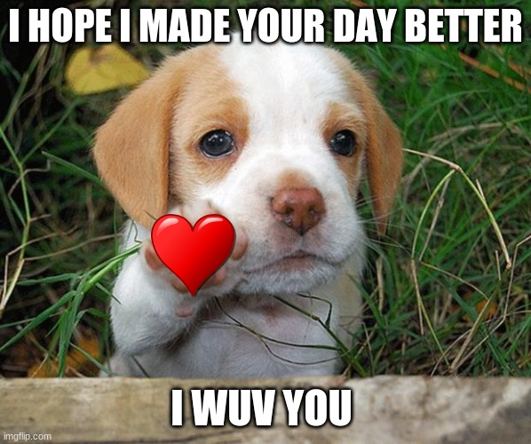 dog puppy bye | I HOPE I MADE YOUR DAY BETTER; I WUV YOU | image tagged in dog puppy bye | made w/ Imgflip meme maker