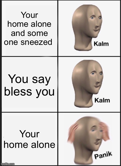 Panik Kalm Panik | Your home alone and some one sneezed; You say bless you; Your home alone | image tagged in memes,oh god no,kalm kalm panikk | made w/ Imgflip meme maker