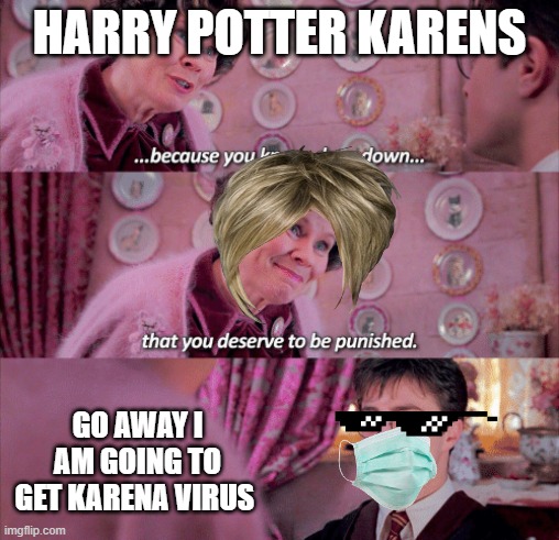 Harry Potter deserve to be punished | HARRY POTTER KARENS; GO AWAY I AM GOING TO GET KARENA VIRUS | image tagged in harry potter deserve to be punished | made w/ Imgflip meme maker