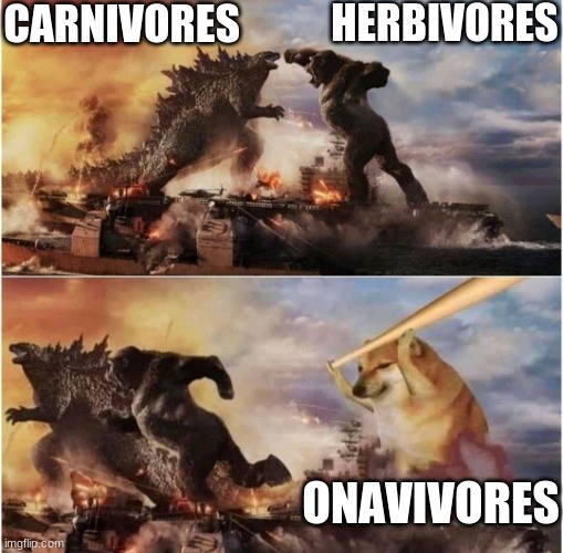 eat plants and animals | CARNIVORES; HERBIVORES; OMNIVORES | image tagged in kong godzilla doge | made w/ Imgflip meme maker