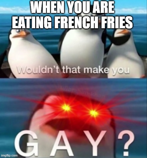 no skipper. | WHEN YOU ARE EATING FRENCH FRIES | image tagged in wouldn't that make you gay | made w/ Imgflip meme maker