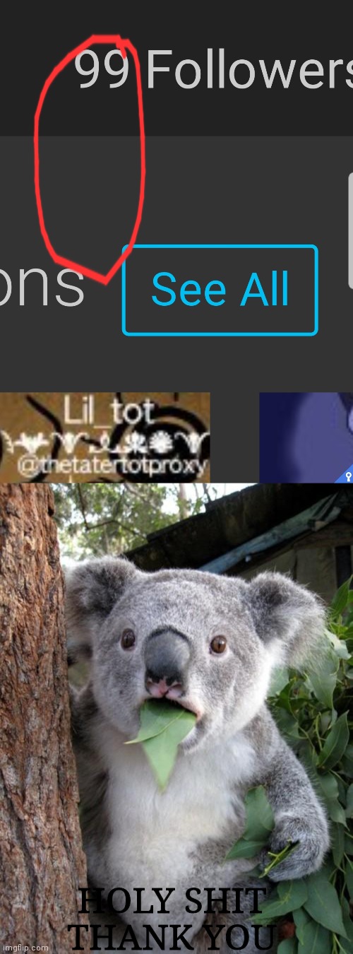 HOLY SHIT THANK YOU | image tagged in memes,surprised koala | made w/ Imgflip meme maker