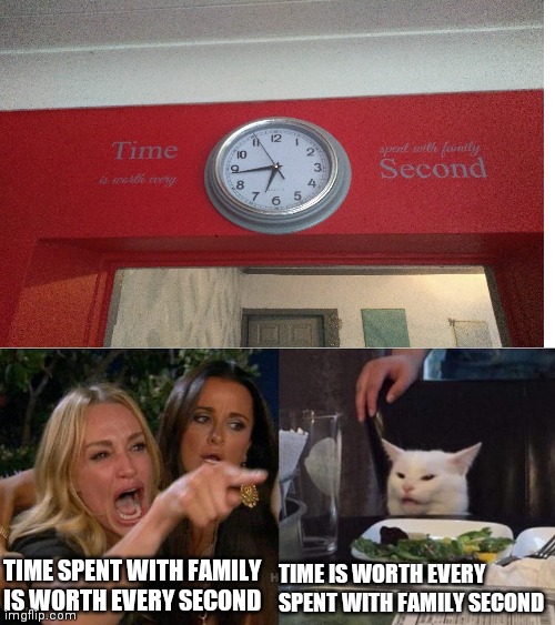 god that's confusing | TIME IS WORTH EVERY SPENT WITH FAMILY SECOND; TIME SPENT WITH FAMILY IS WORTH EVERY SECOND | image tagged in memes,woman yelling at cat | made w/ Imgflip meme maker