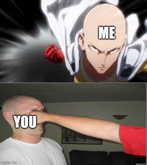 one punch man | ME YOU | image tagged in one punch man | made w/ Imgflip meme maker