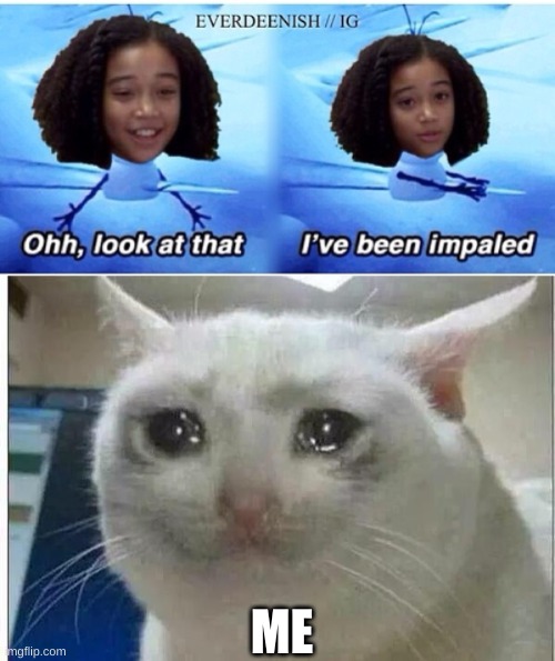 ME | image tagged in crying cat | made w/ Imgflip meme maker