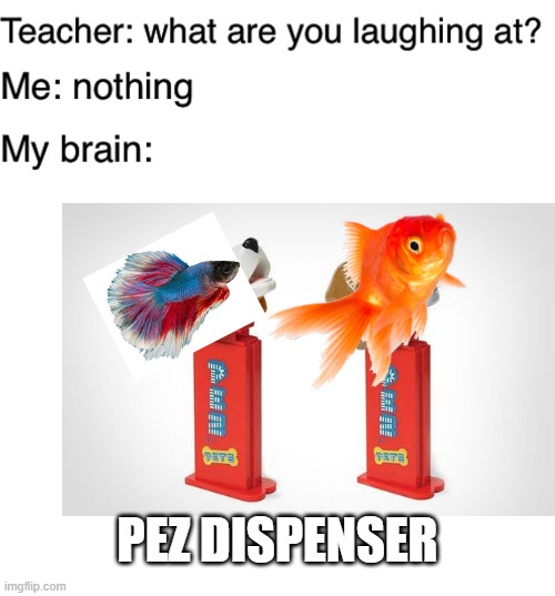Get it? "Pez" dispenser | PEZ DISPENSER | image tagged in teacher what are you laughing at,blank white template,memes,funny,fish,pez | made w/ Imgflip meme maker