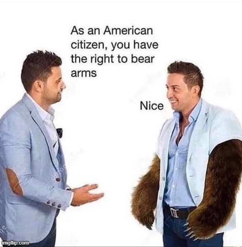 The 2nd Amendment | image tagged in funny,fun,memes,politics,law | made w/ Imgflip meme maker