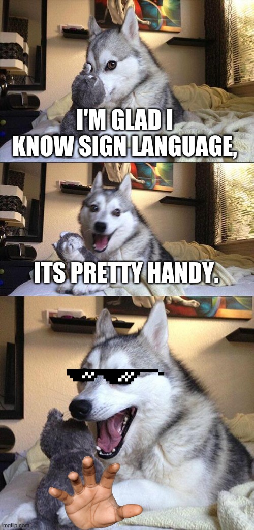 bad pun lol | I'M GLAD I KNOW SIGN LANGUAGE, ITS PRETTY HANDY. | image tagged in memes,bad pun dog,funny animal | made w/ Imgflip meme maker