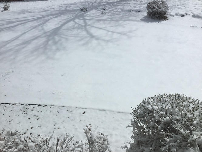 Y’all it’s April. | made w/ Imgflip meme maker