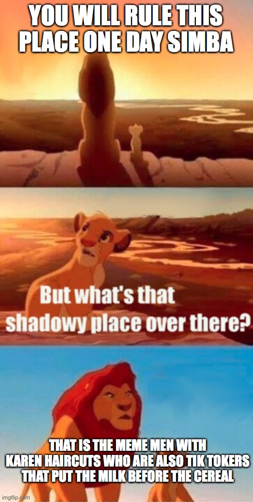 Welcome to my nightmare | YOU WILL RULE THIS PLACE ONE DAY SIMBA; THAT IS THE MEME MEN WITH KAREN HAIRCUTS WHO ARE ALSO TIK TOKERS THAT PUT THE MILK BEFORE THE CEREAL | image tagged in memes,simba shadowy place | made w/ Imgflip meme maker