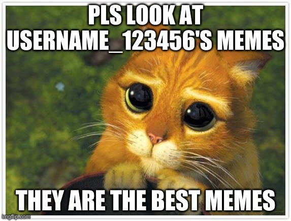 please |  PLS LOOK AT USERNAME_123456'S MEMES; THEY ARE THE BEST MEMES | image tagged in memes,shrek cat | made w/ Imgflip meme maker