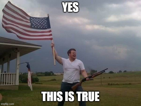 American flag shotgun guy | YES THIS IS TRUE | image tagged in american flag shotgun guy | made w/ Imgflip meme maker