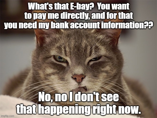 No, I don't think so. | What's that E-bay?  You want to pay me directly, and for that you need my bank account information?? No, no I don't see that happening right now. | image tagged in sarcasm cat | made w/ Imgflip meme maker