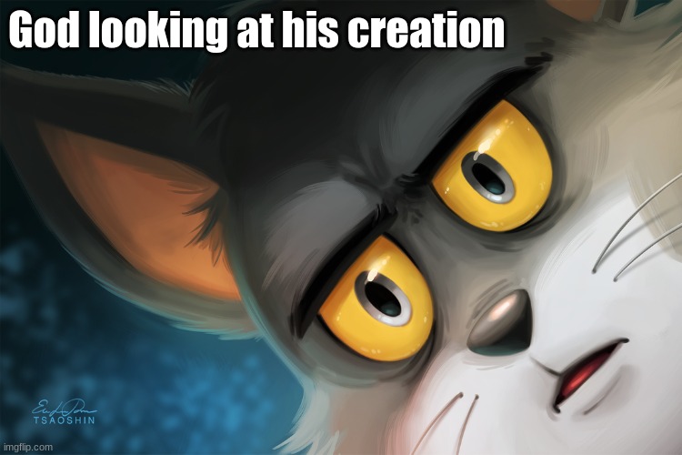 Unsettled Tom Stylized | God looking at his creation | image tagged in unsettled tom stylized | made w/ Imgflip meme maker