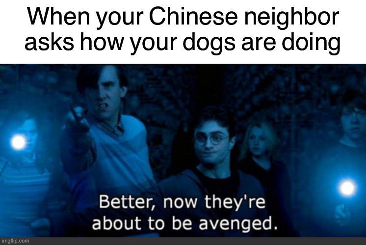 Fun | When your Chinese neighbor asks how your dogs are doing | image tagged in funny,memes,dark,china,dogs | made w/ Imgflip meme maker
